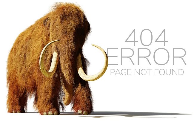 404 Error | Discover Magazine