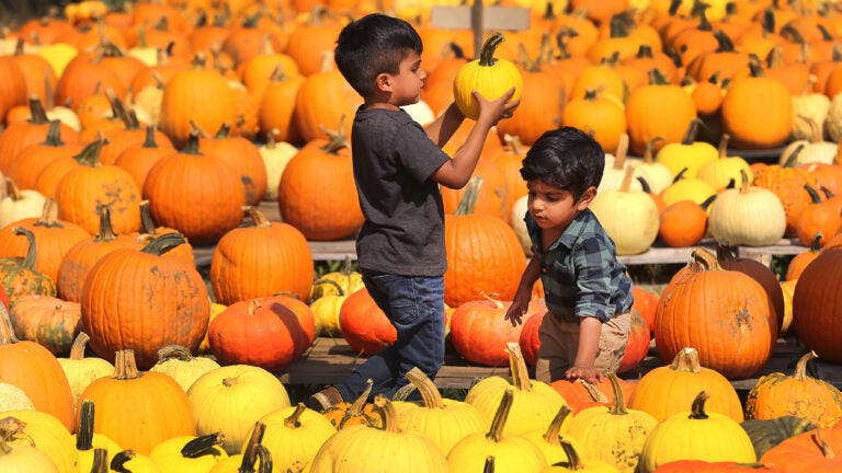 Are these the best fall activities in New England? Share with us.