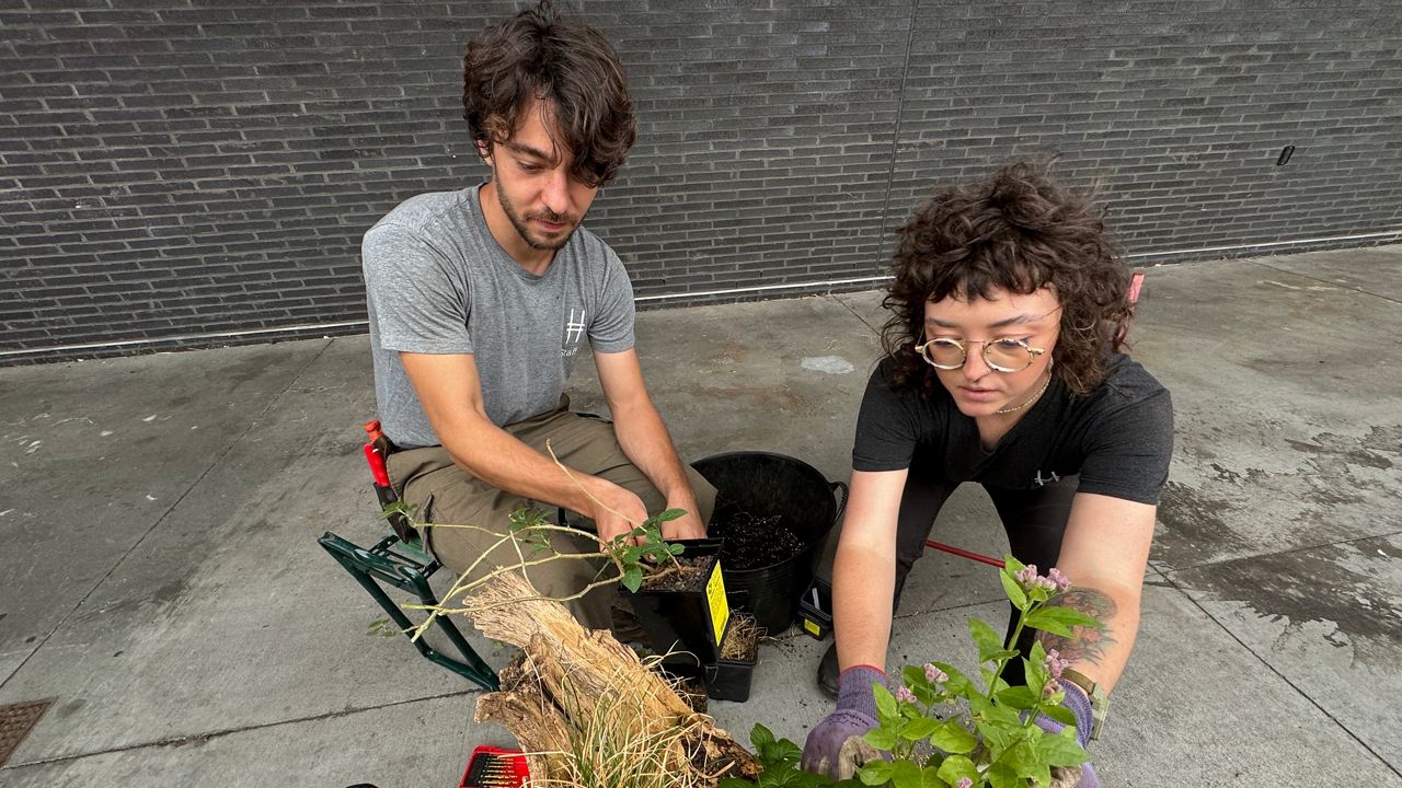 Bringing Climate Week to New Yorkers