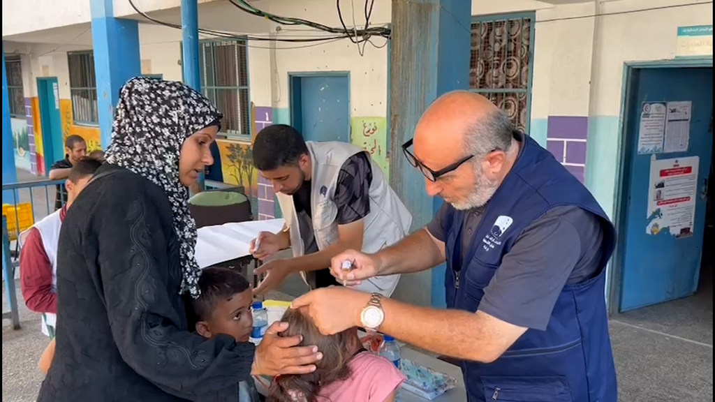 Gaza: Six UNRWA staff killed in strikes on school sheltering displaced people