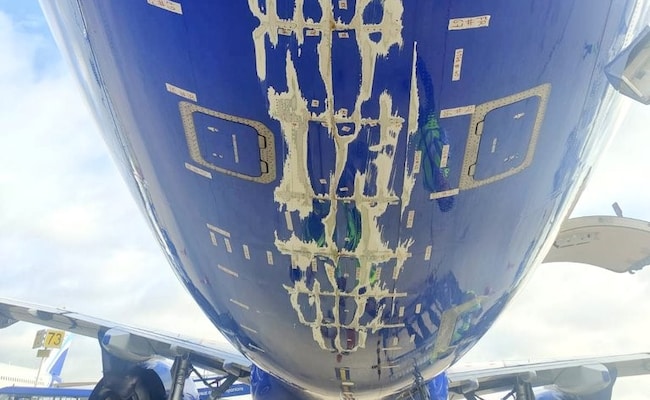 IndiGo Flight Tailstrike Leaves Huge Dent During Take-Off, Plane Returns To Airport