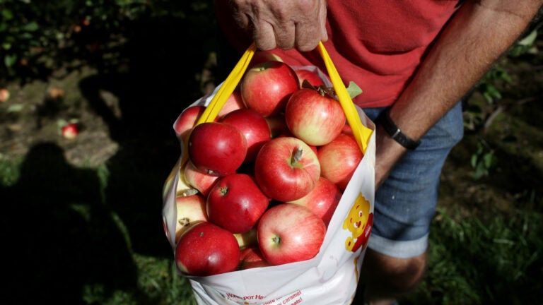 Readers: Where is the best place to pick apples?