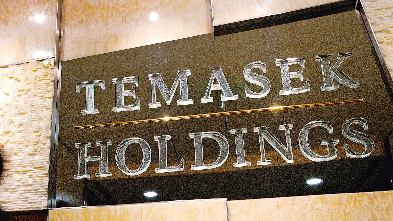 Temasek close to acquiring stake in Blackstone-controlled VFS: Report | Mint