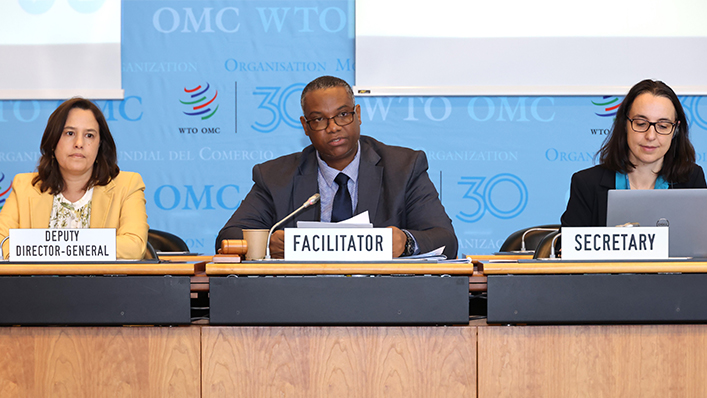 WTO members discuss work programme on e-commerce post MC13 with a focus on development